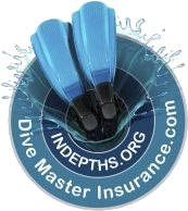 Indepths logo